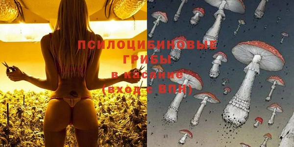 ГАЛЛЮЦИНОГЕННЫЕ ГРИБЫ Нефтекумск