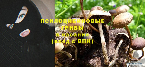 ПСИЛОЦИБИНОВЫЕ ГРИБЫ Нея