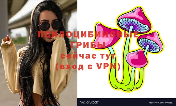 ГАЛЛЮЦИНОГЕННЫЕ ГРИБЫ Нефтекумск