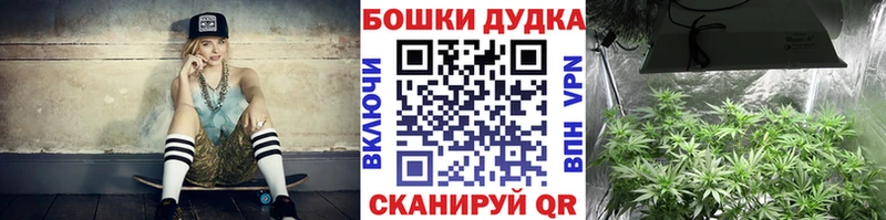 Бошки Шишки план  купить  сайты  Артёмовский 